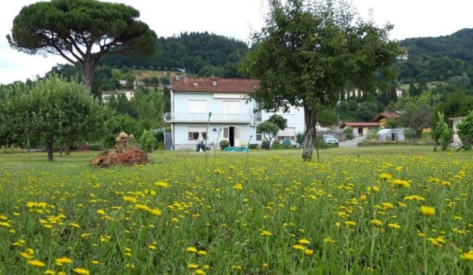 Affittacamere La Foresta di Sopra