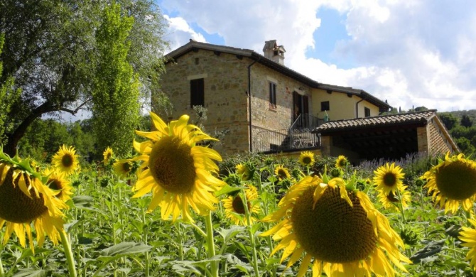 Appartamenti Verde Collina Umbra