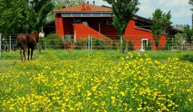 Agriturismo Adriano Pedretti