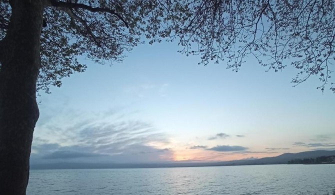 Maison du Lac Bolsena