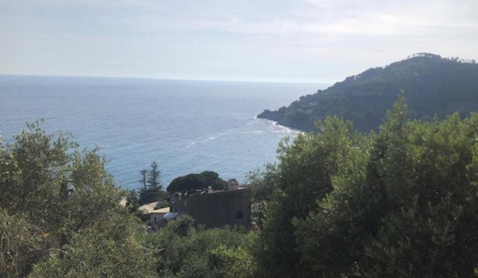 Casa Orchidea - Vista Mare meravigliosa