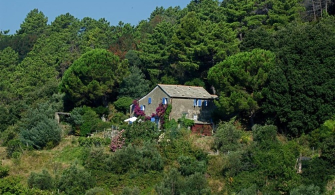 Maison de Charme Giulietta