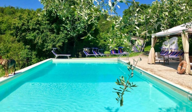 Ala di Maniero in Agriturismo Valdrago in Toscana, nel Verde Mugello sulle Colline di Firenze