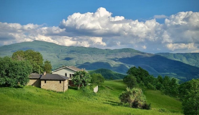 Agriturismo Il Noce d'Oro