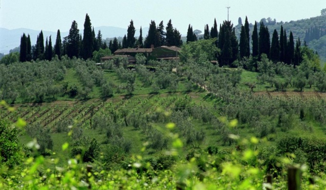 Fattoria Casa Sola