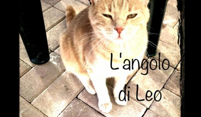 L'angolo di Leo