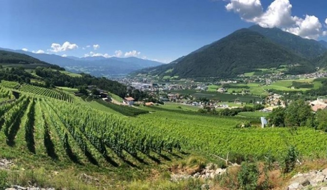 BUEHLERHOF Pferde Wander Reiten Bauernhof Brixen