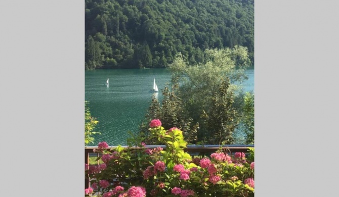 Casa a schiera fronte lago con giardino