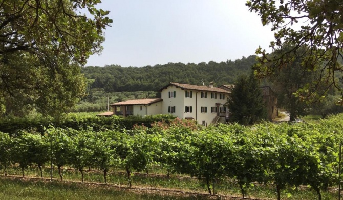 Agriturismo Ca' Castellani