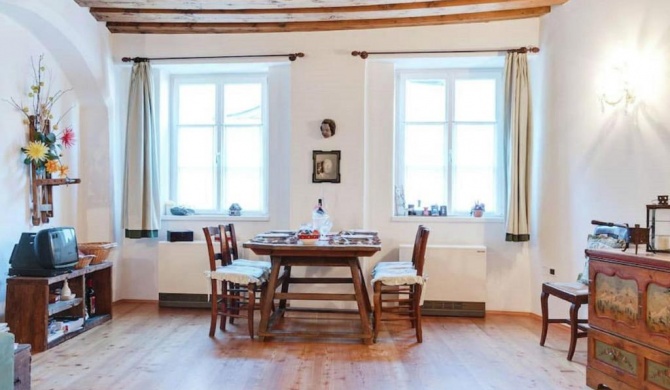 Charming renewed apartment pet allowed in the city center of Brixen