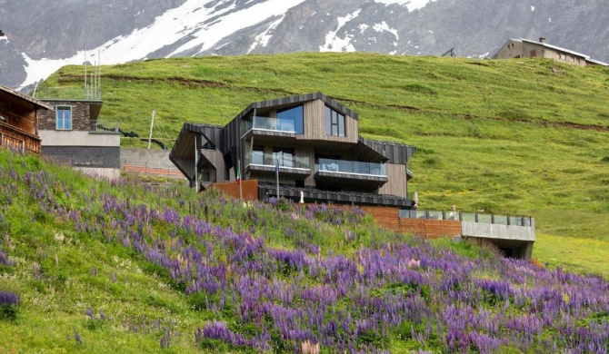 Bergman Mountain Hotel